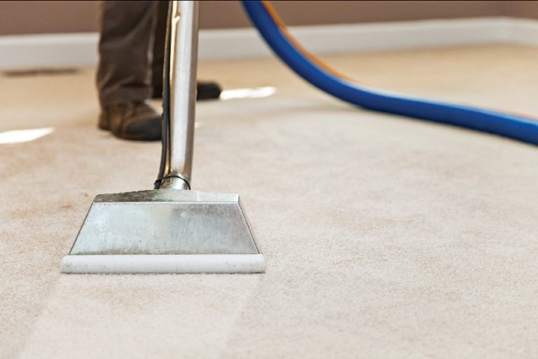 Home Remedies To Help You Remove Paint From Carpet