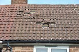 Caring for your Roof During the Winter