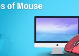 Types Of Mouse: What You Should Know Before Buying