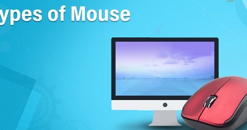 Types Of Mouse